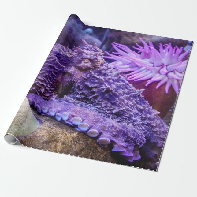 Lila Octopusverpackungspapier Geschenkpapier (Ungerollt)