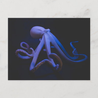 Lila Oktopus Postkarte
