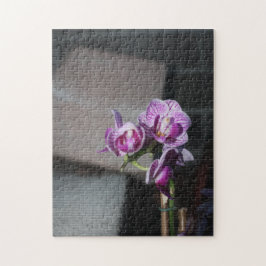Lila Orchid