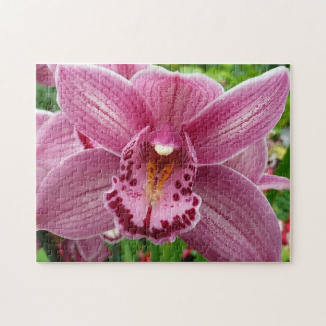 Lila Orchid Elegante (Horizontal)