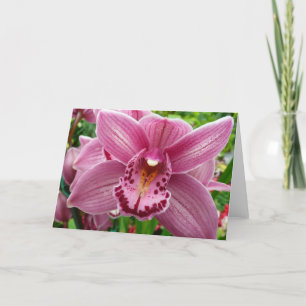 Lila Orchid Elegante Karte