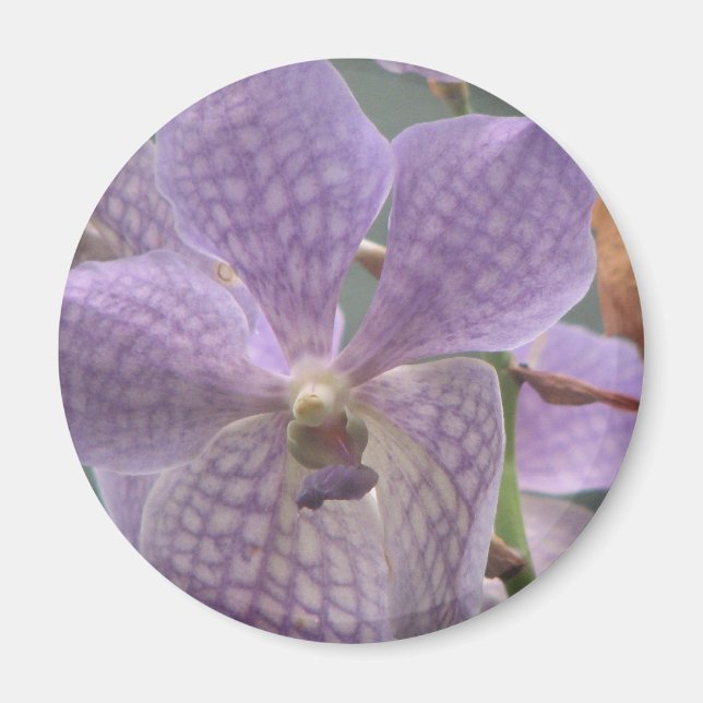 Lila Orchid Magnet (Vorne)