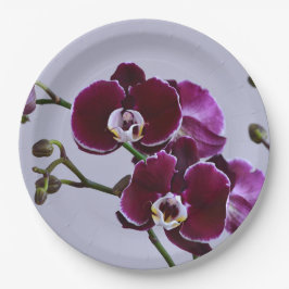 Lila Orchid-Papierplatte Pappteller