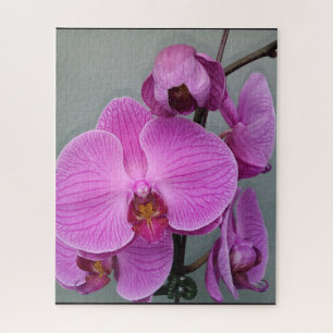 LILA ORCHID-Puzzle