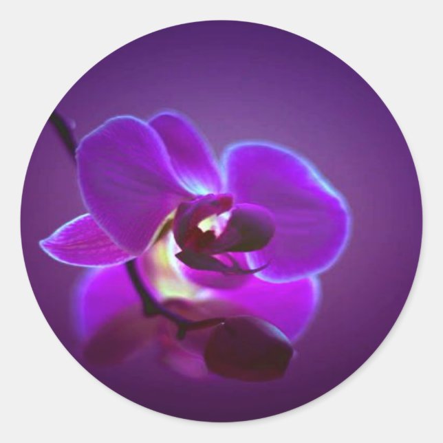 Lila Orchid Runder Aufkleber (Vorderseite)