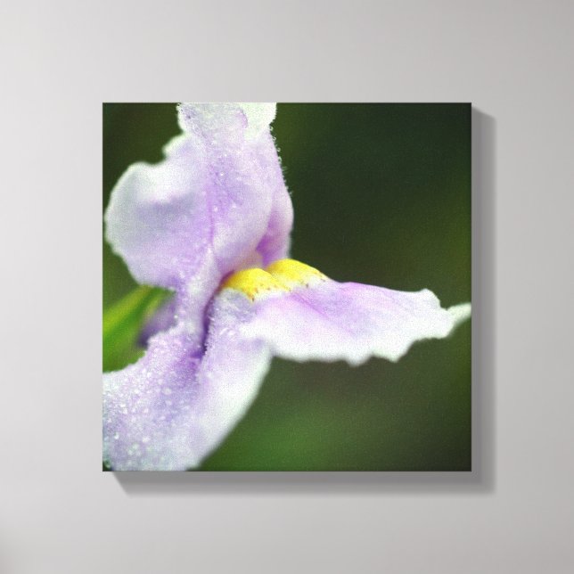 Lila Orchid-Wildblume Leinwanddruck (Vorderseite)