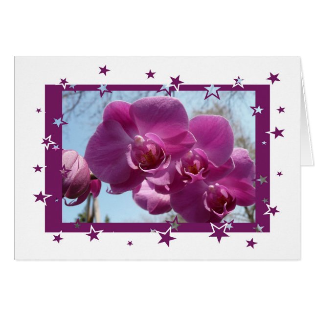 Lila Orchidee (Vorderseite (Horizontal))
