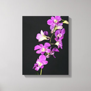 Lila Orchidee auf schwarzem Hintergrund Leinwanddruck