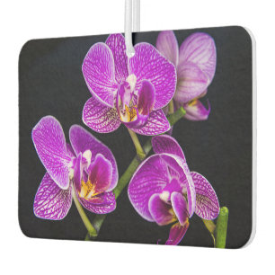 Lila Orchidee Autolufterfrischer