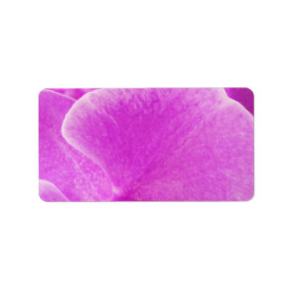 Lila Orchidee Blume Frische Natur Adressaufkleber