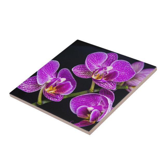 Lila Orchidee Fliese (Seite)