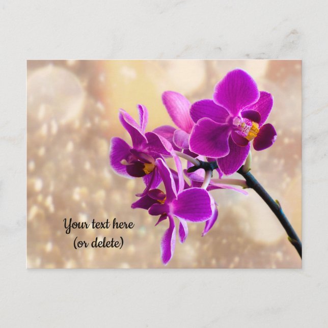 Lila Orchidee Postkarte (Vorderseite)