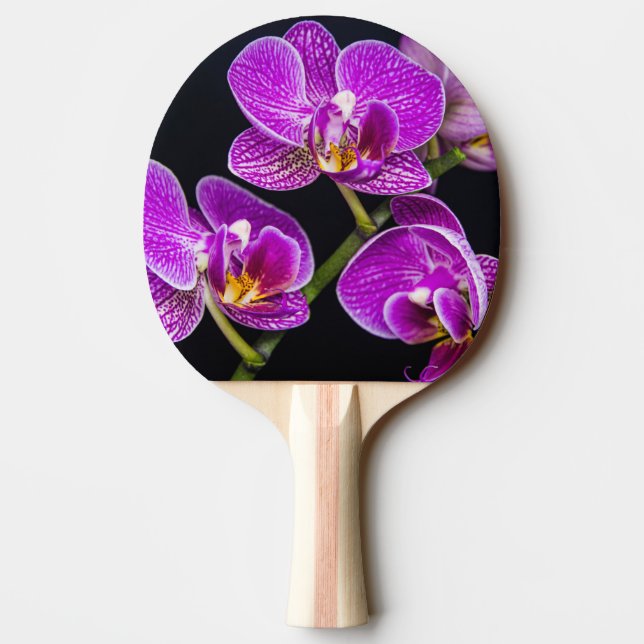Lila Orchidee Tischtennis Schläger (Rückseite)