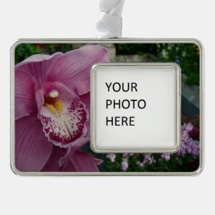 Lila Orchidee und Gartenfarben Rahmen-Ornament Silber