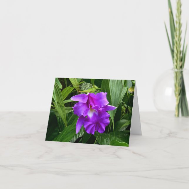 Lila Orchidee w verlässt Anmerkungs-Karte Karte (Vorderseite)