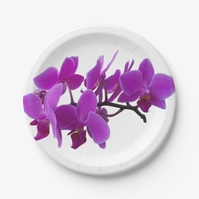 Lila Orchideen auf Papierplatte Pappteller (Vorderseite)