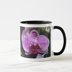 Lila Orchideen-Doppeltes mit der Grenzwecker-Tasse Tasse