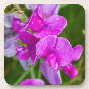 Lila Orchideen Getränkeuntersetzer