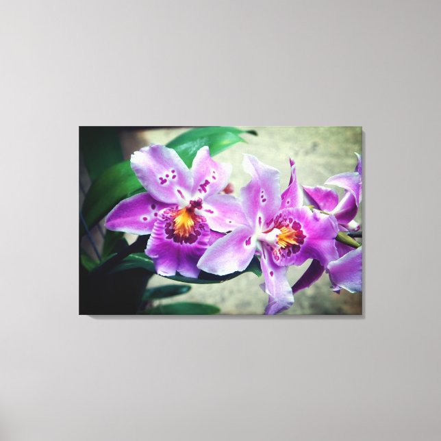 Lila Orchideen gezackte Leinwand (Vorderseite)