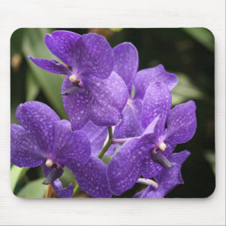 Lila Orchideen-Mausunterlage Mousepad