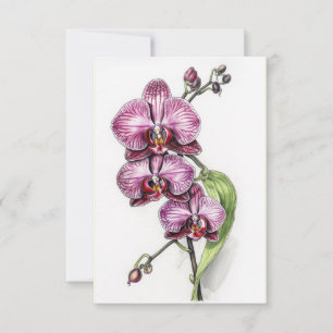 Lila Orchideen Minimalistisch Dankeskarte