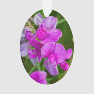 Lila Orchideen Ornament