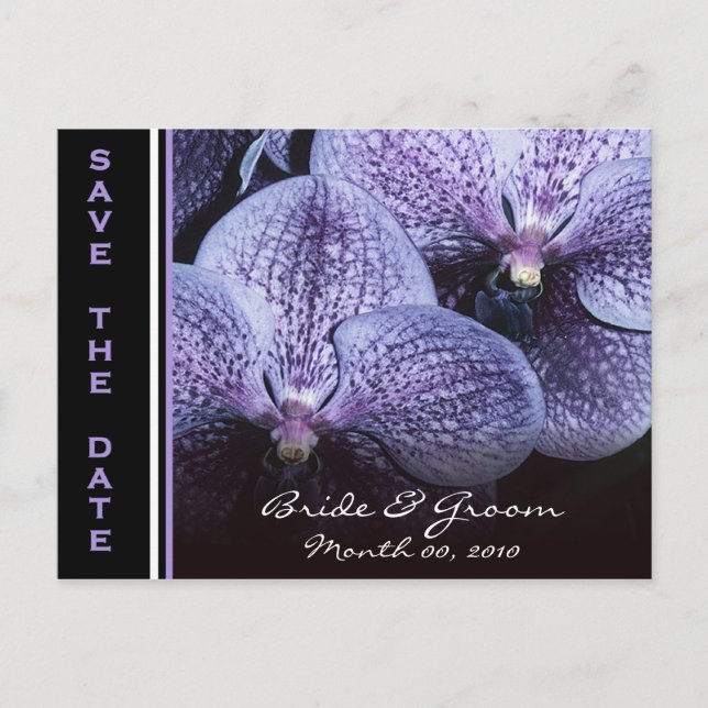 Lila Orchideen Save the Date Postkarten (Vorderseite)