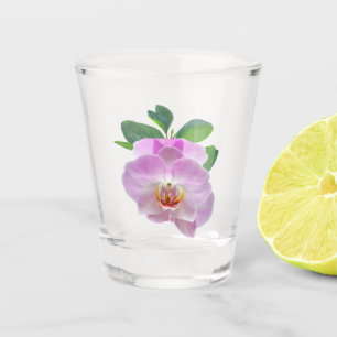 Lila Orchideen Schnapsglas