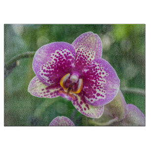 Lila Orchideenglas Schneidebrett