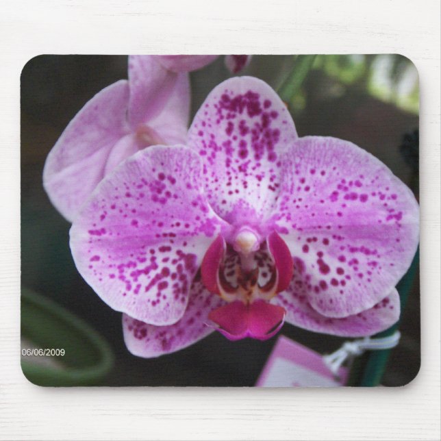 Lila OrchideenMausunterlage Mousepad (Vorne)