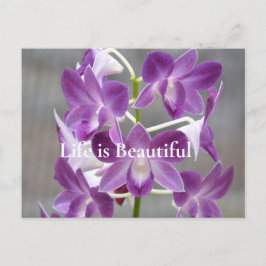 Lila Orchids Kauai Hawaii Postkarte