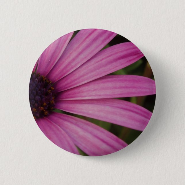 Lila Osteospurmum Knopf Button (Vorderseite)