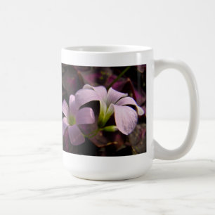 Lila Oxalis-Blüten Kaffeetasse
