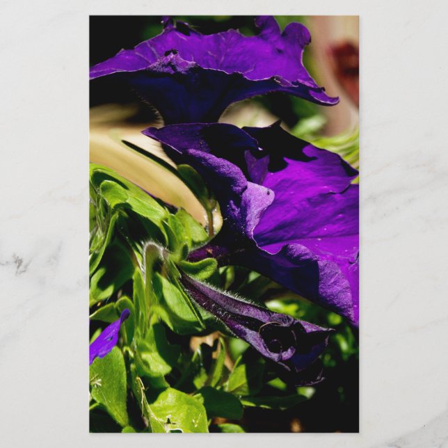 Lila Panik Briefpapier (Vorderseite)