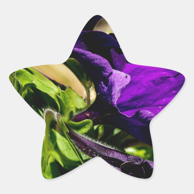 Lila Panik Stern-Aufkleber (Vorderseite)