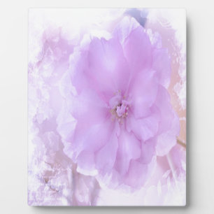 Lila Pansy Fotoplatte