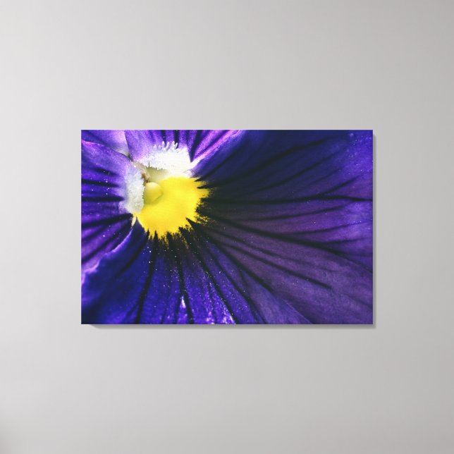 Lila Pansy-Makro-Foto elegant Leinwanddruck (Vorderseite)