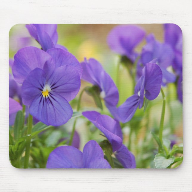 Lila Pansy Mouse Pad Mousepad (Vorne)