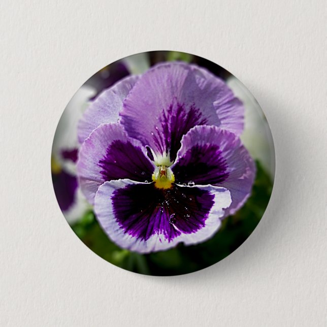 Lila Pansy-nahes hohes Button (Vorderseite)