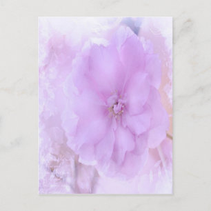 Lila Pansy Postkarte