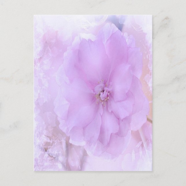 Lila Pansy Postkarte (Vorderseite)