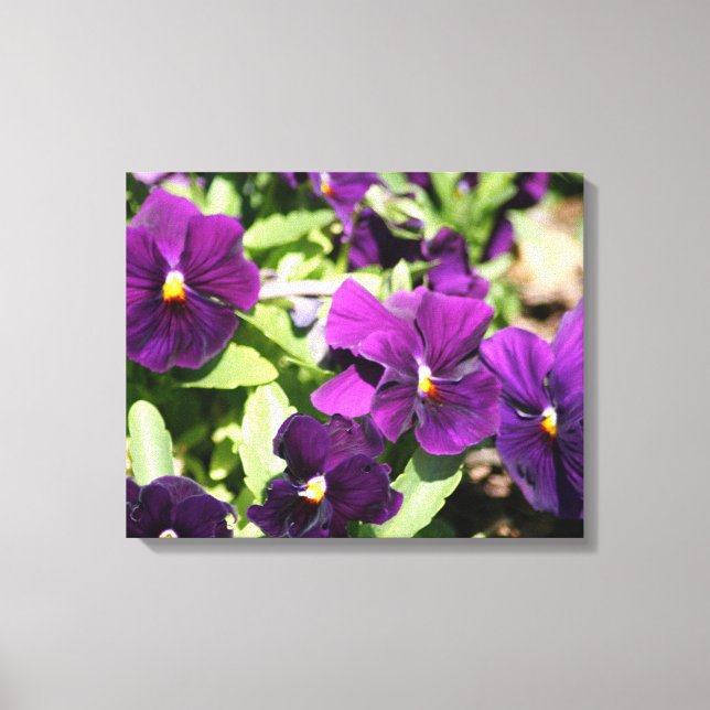Lila Pansy Wrapped Art Leinwand (Vorderseite)