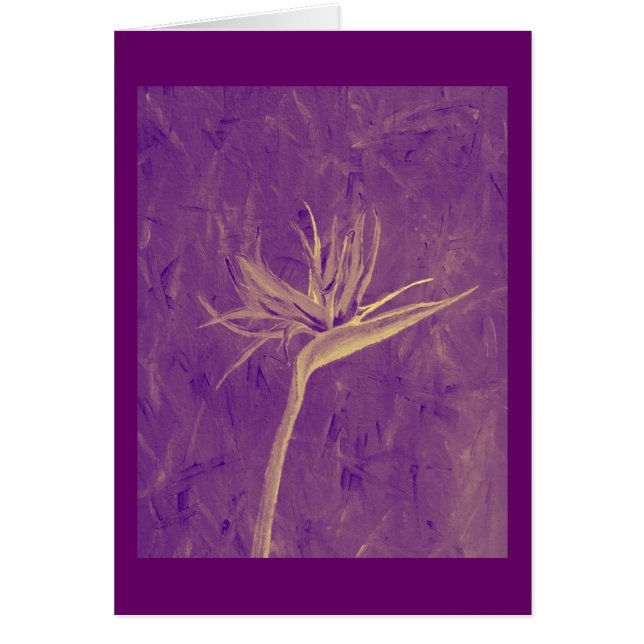 Lila Paradiesvogel (Vorne)