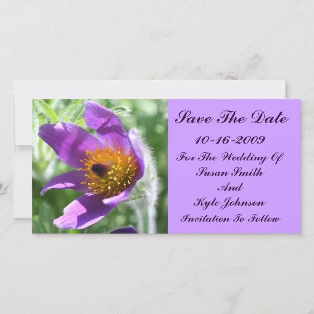 Lila Pasque-Blume Hochzeit speichern das Datum Save The Date (Vorderseite)