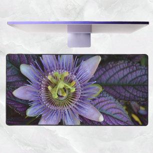 Lila Passiflora Botanische Fotografie Schreibtischunterlage