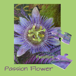 Lila Passiflora und botanischer Schild
