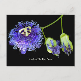 Lila Passion Blume Sammelkarte Postkarte