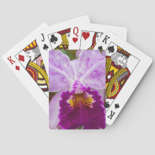 Lila Passion Orchid Spielkarten