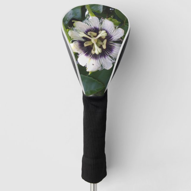 LILA PASSIONSFRUCHT-BLUME GOLF HEADCOVER (Vorderseite)