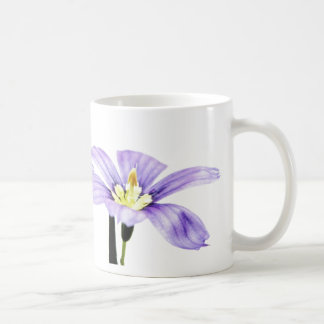 Lila PastellBlume Kaffeetasse